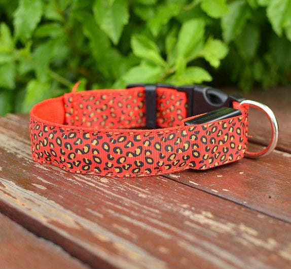 LED safety dog collar adjustable pet collar