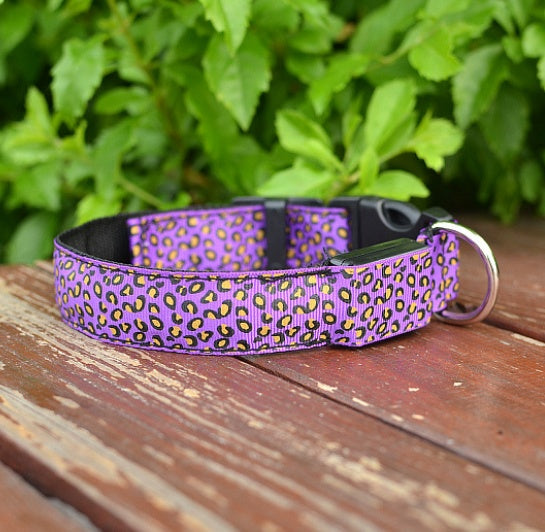 LED safety dog collar for nighttime walks