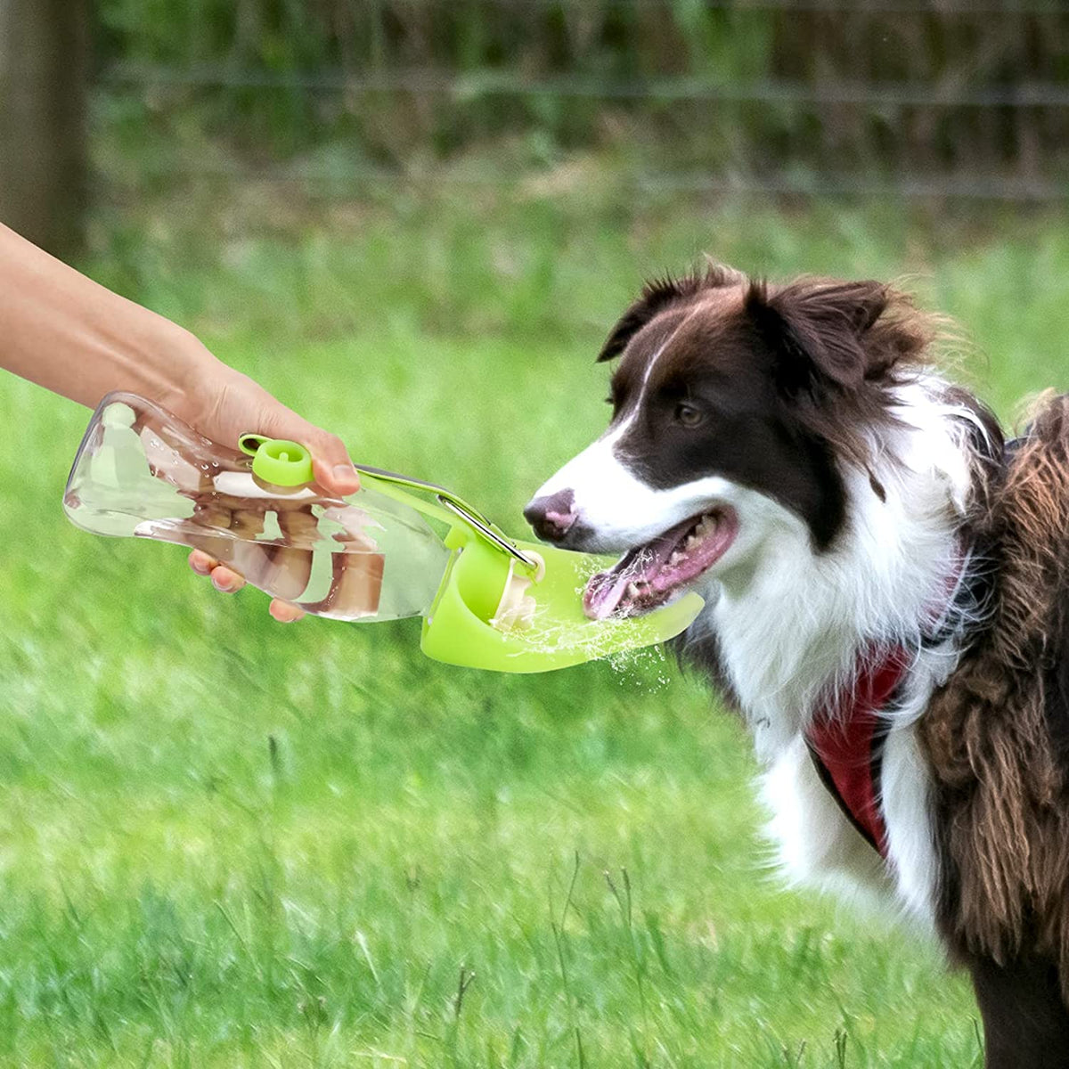 Portable pet water bottle silicone and ABS