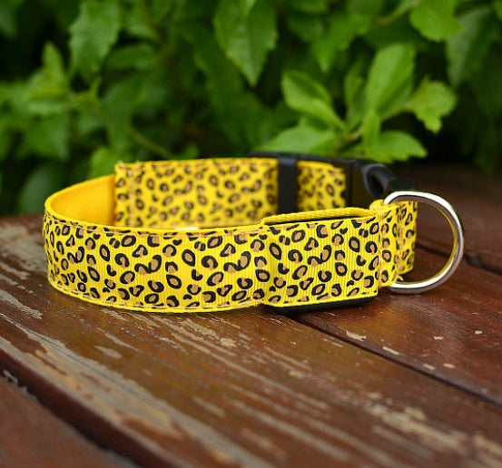 LED safety dog collar for nighttime walks