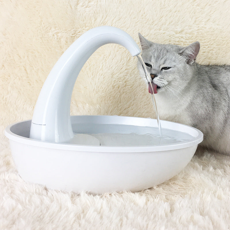 Pet water fountain for cats and dogs