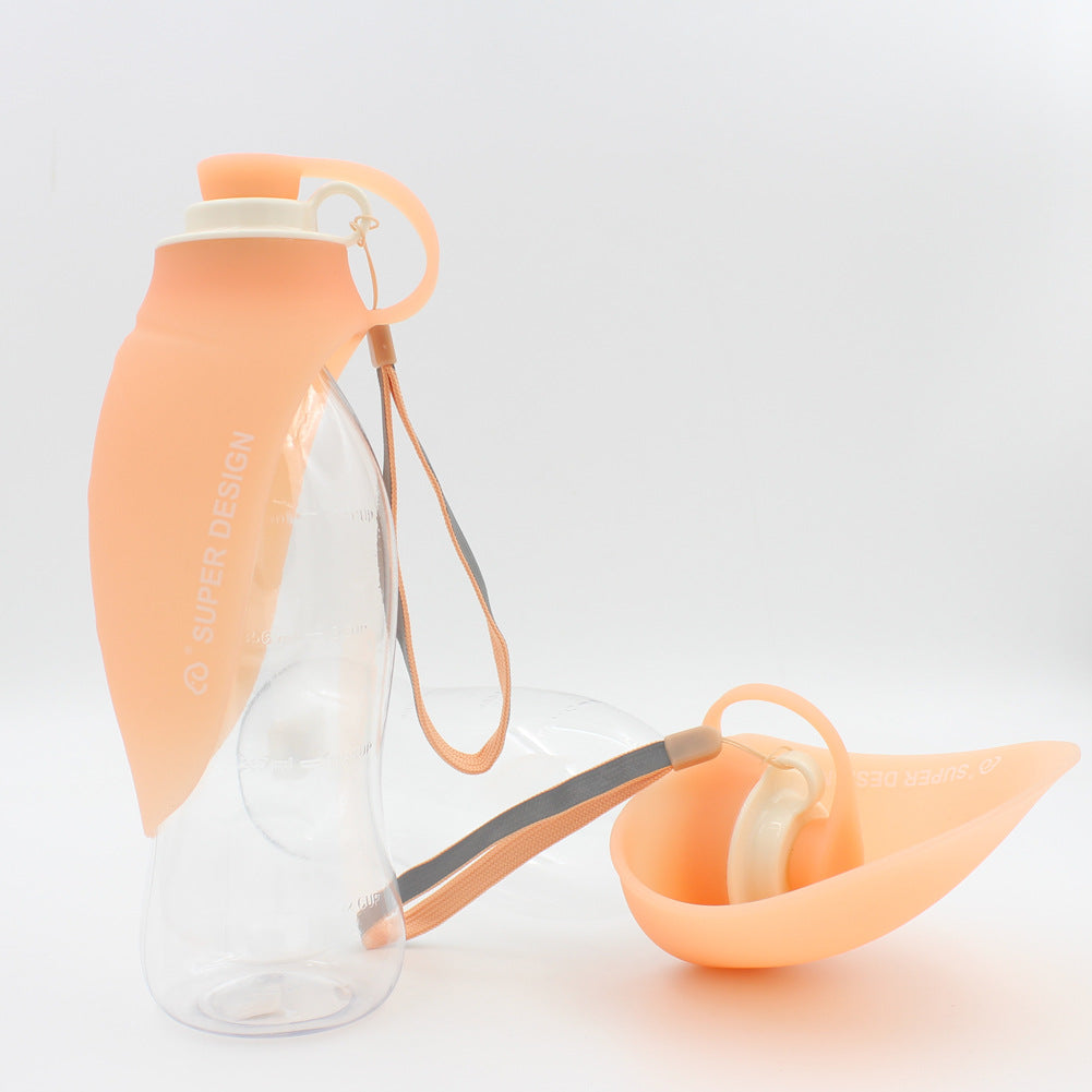 Portable pet water bottle for dog walks