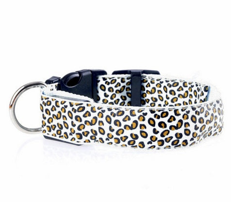 LED safety dog collar for nighttime walks