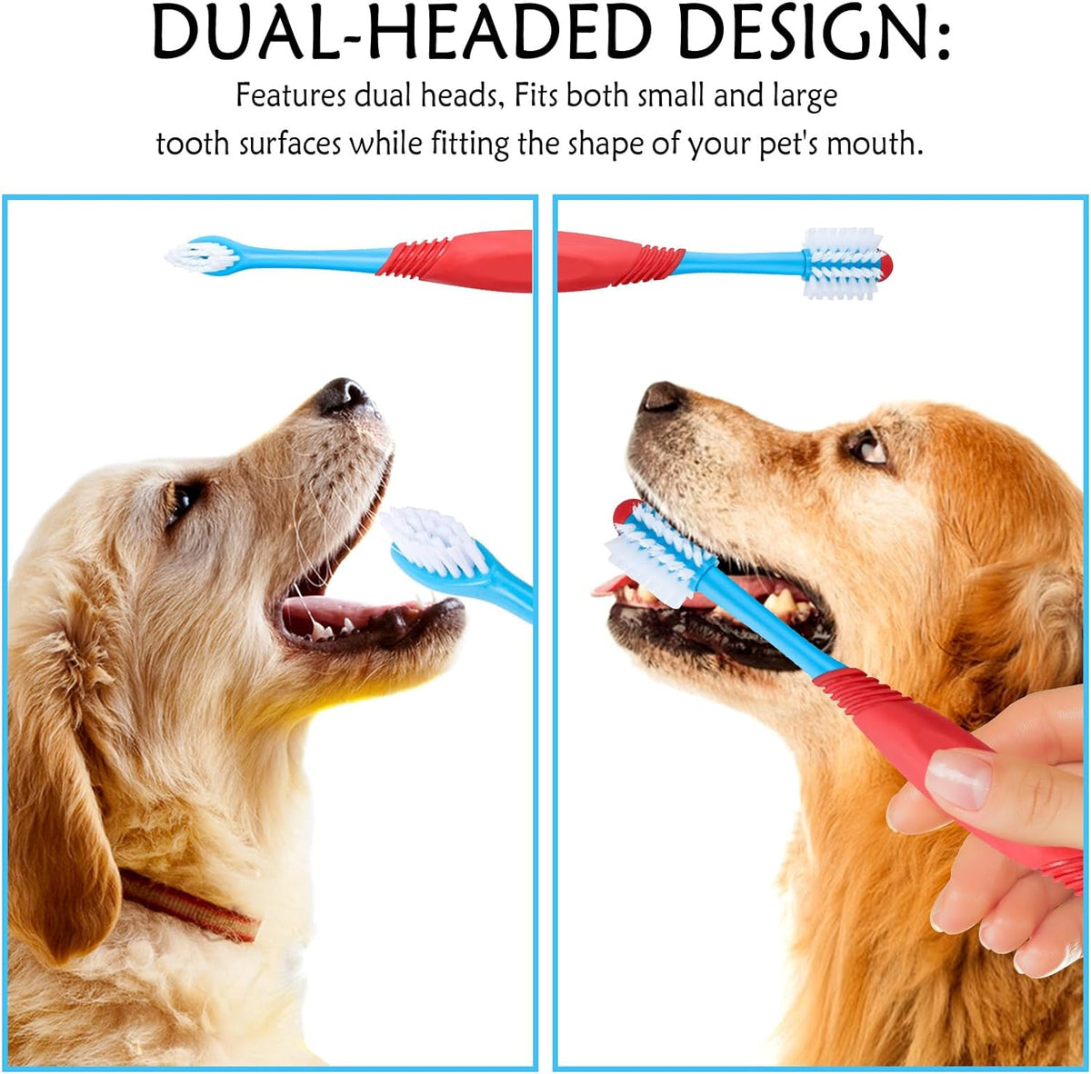 Pet dental care kit pet toothbrush