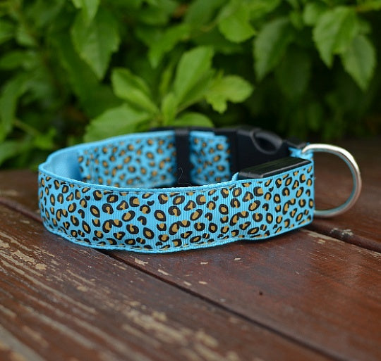 LED safety dog collar light-up design