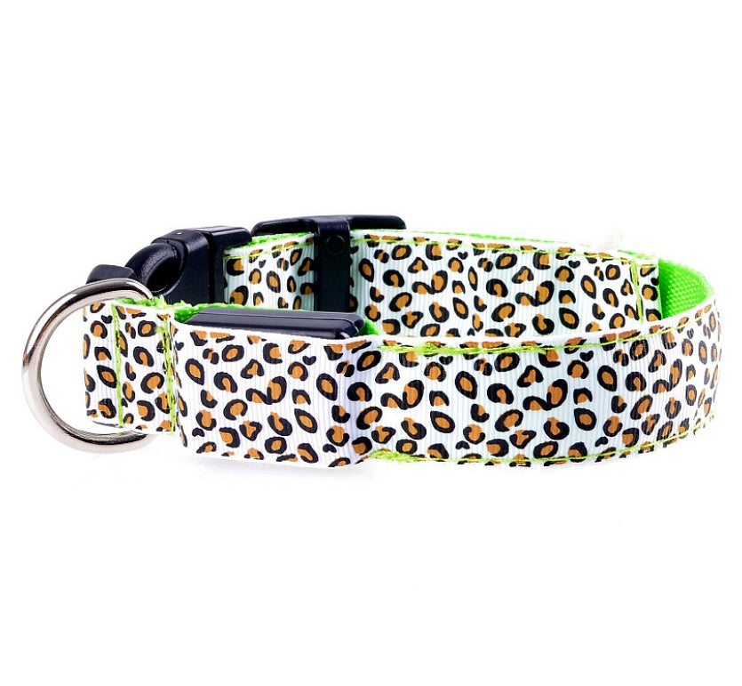 LED safety dog collar light-up design