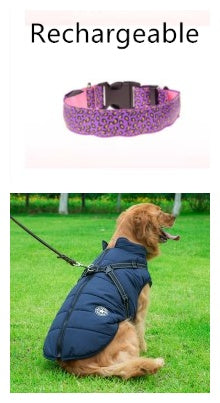 LED safety dog collar adjustable pet collar