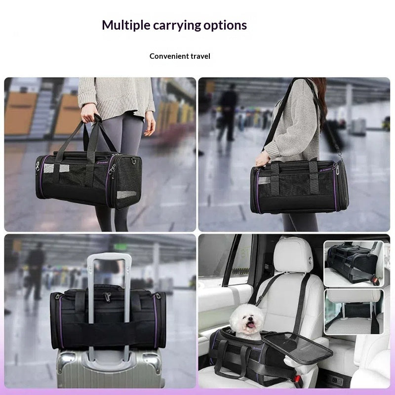 Expandable pet carrier bag for air travel