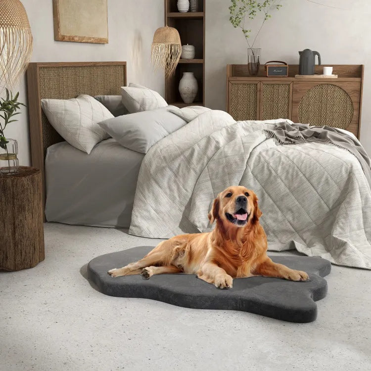 Orthopedic dog bed with memory foam