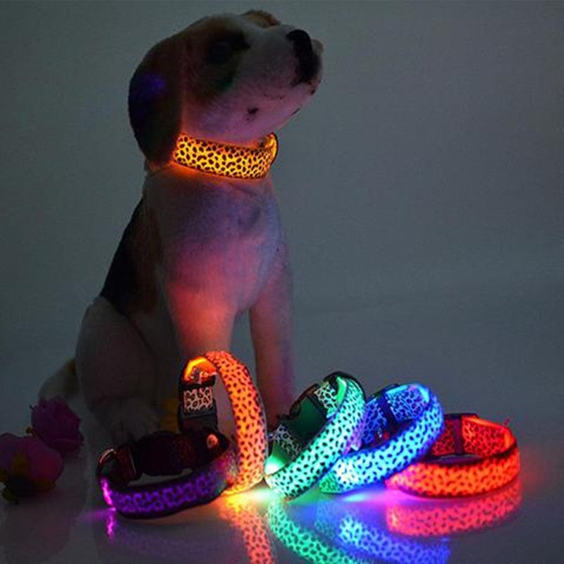 LED safety dog collar for nighttime walks