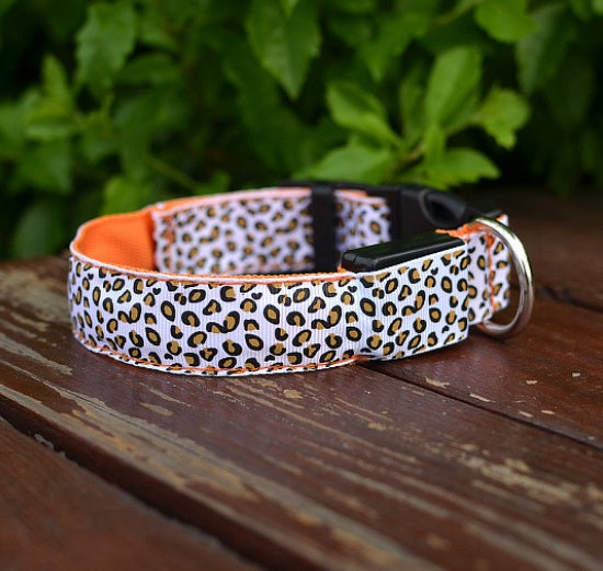LED safety dog collar adjustable pet collar