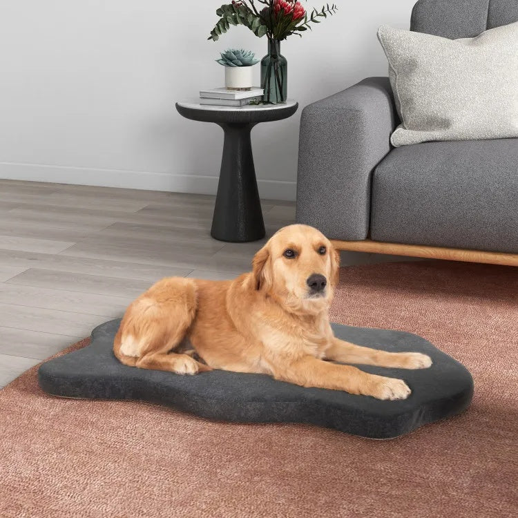 Orthopedic dog bed soft sleeping surface