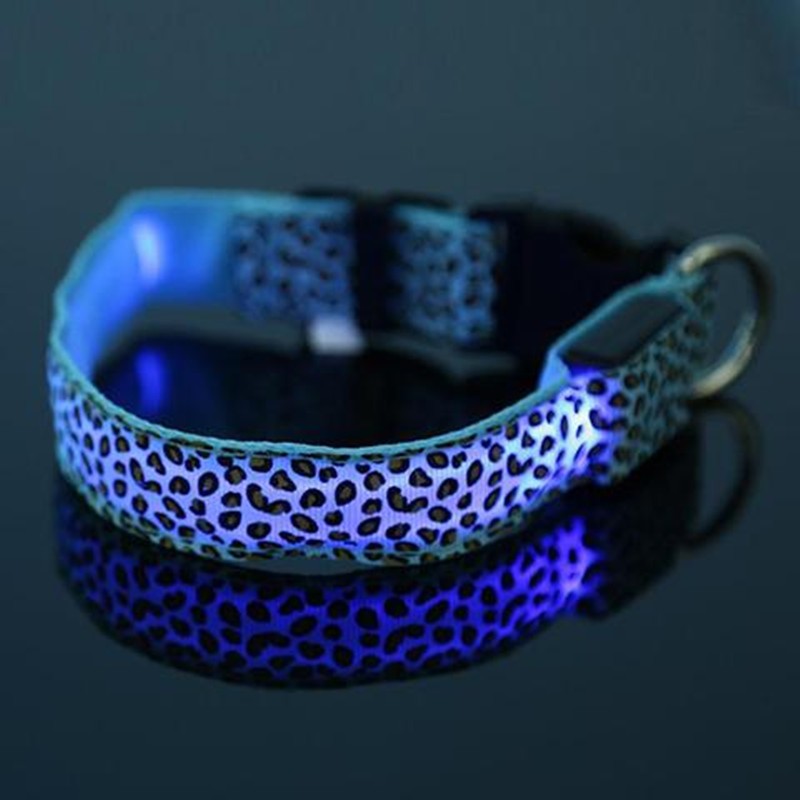 LED safety dog collar light-up design