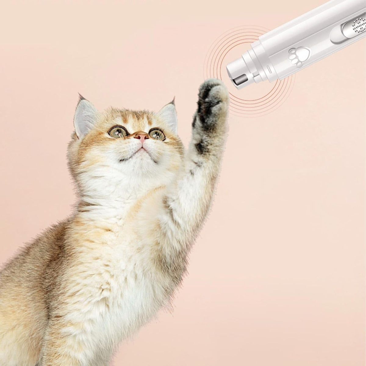 Electric pet nail grinder for grooming