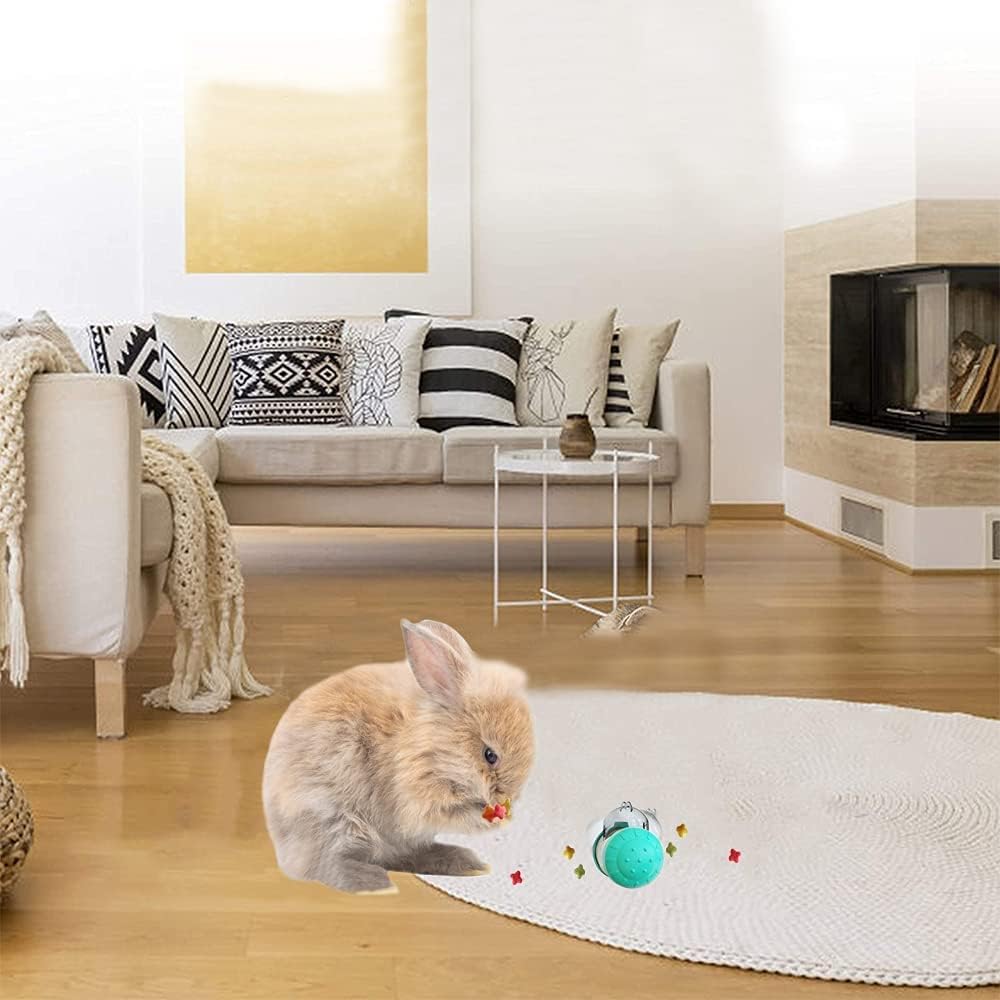 Interactive dog toy food dispensing design