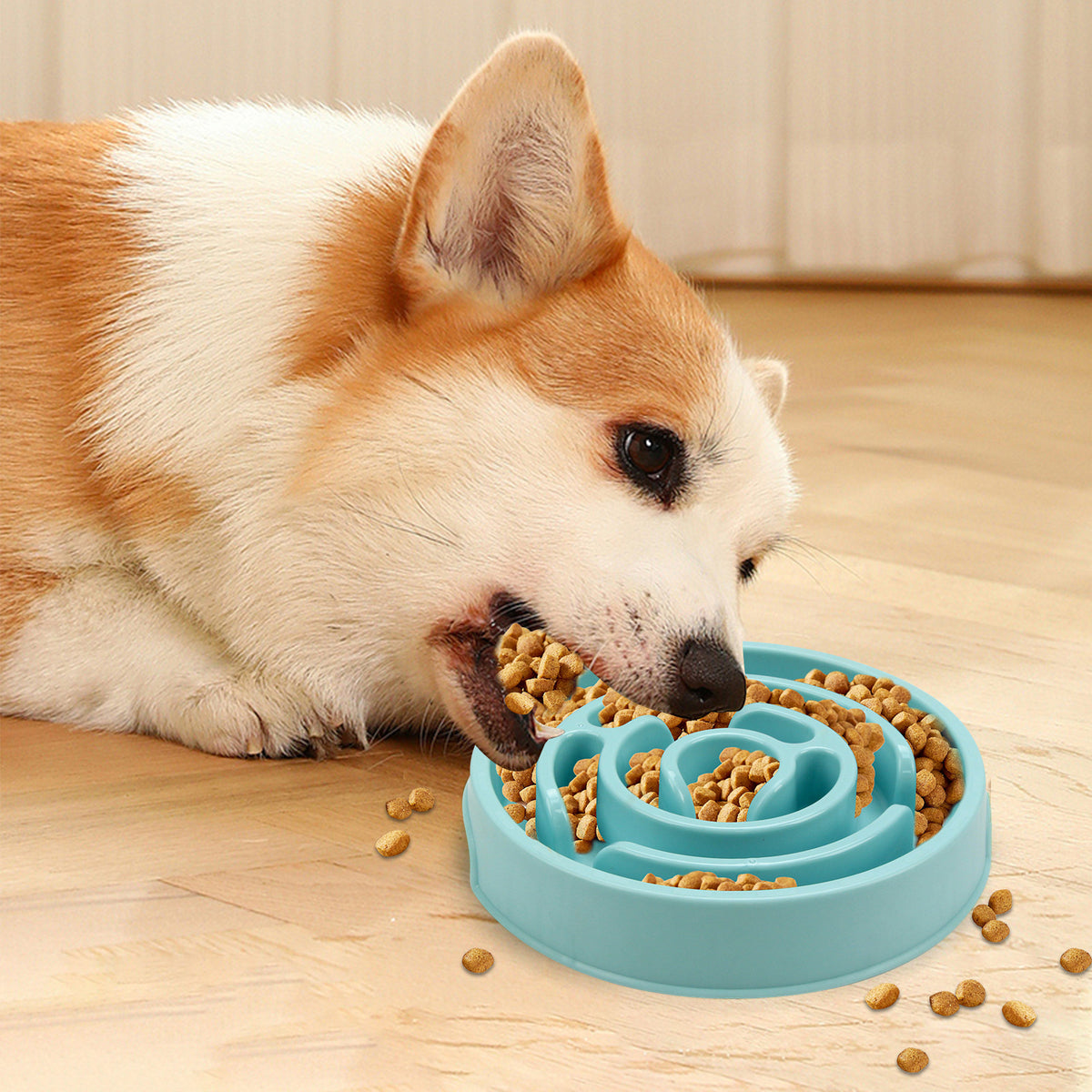 Slow feeder dog bowls food enrichment