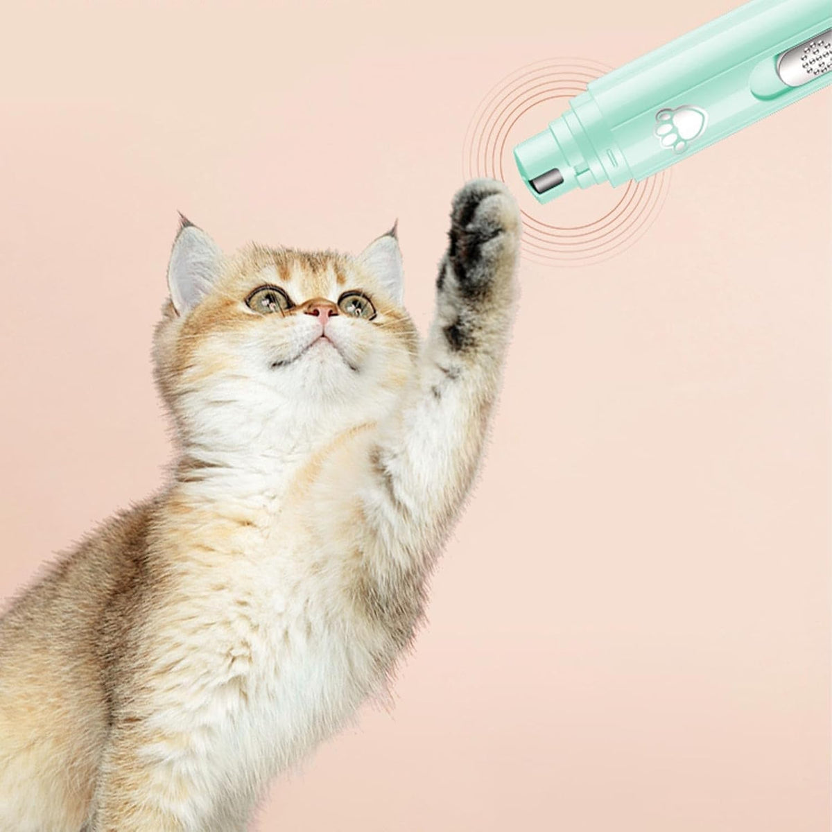 Electric pet nail grinder for grooming