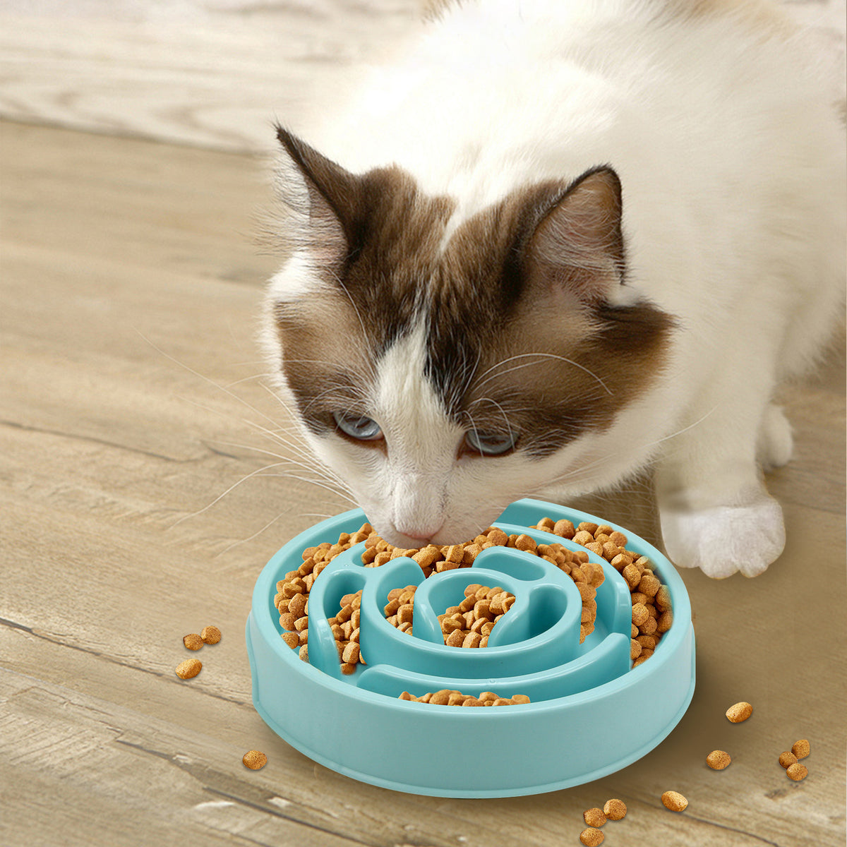 Slow feeder dog bowls puzzle design