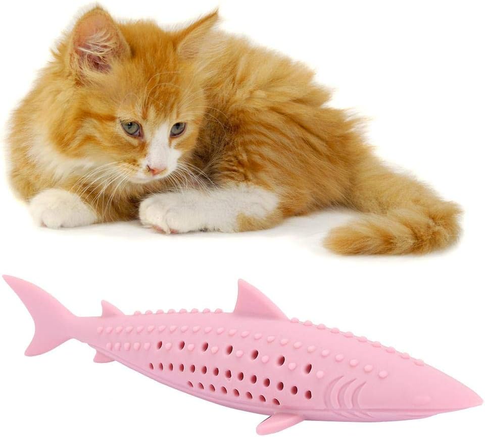 Interactive fish cat toy close up